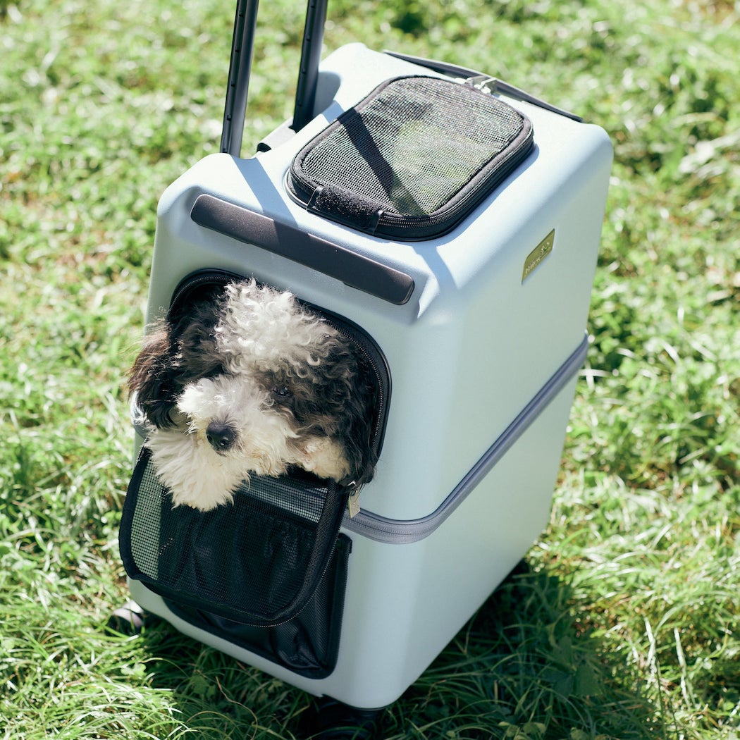 プレミアムスーツケース