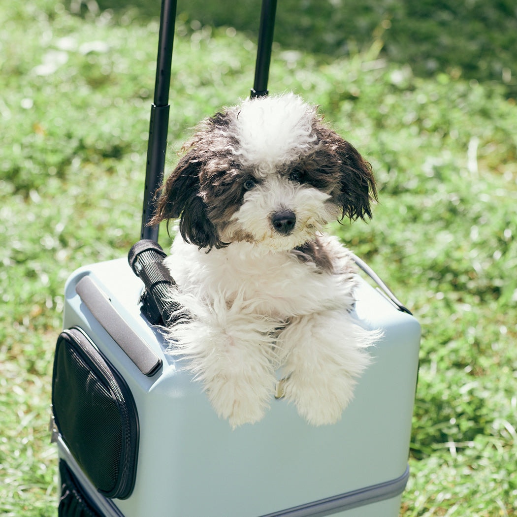 プレミアムスーツケース