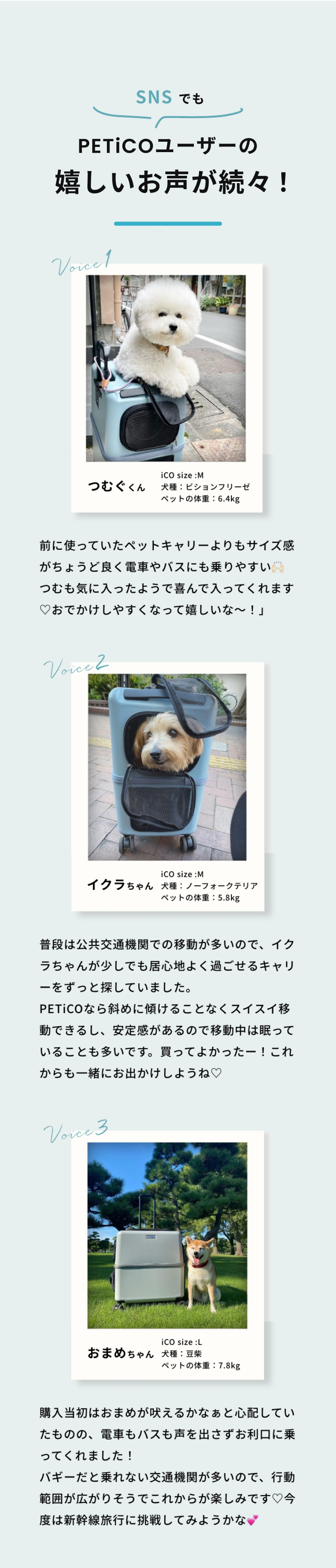 SNSでのユーザーコメント